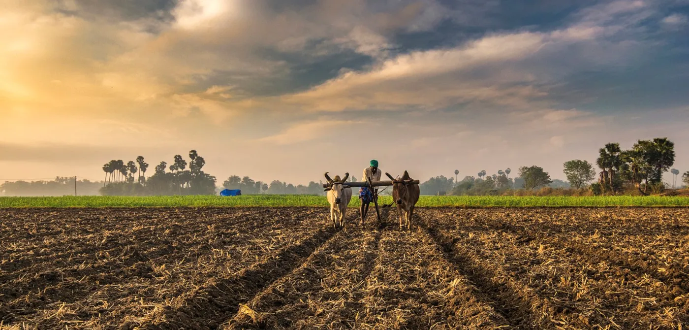 India’s Biggest Challenge The Future of Farming The India Forum