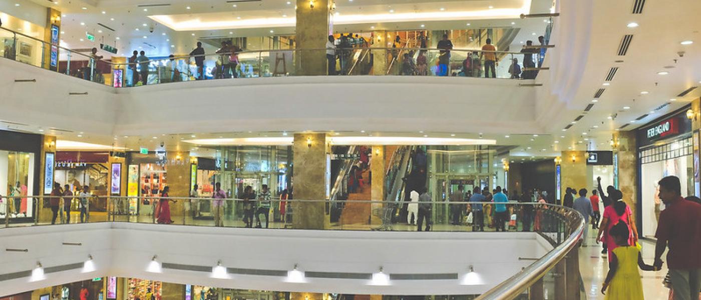 The india forum
