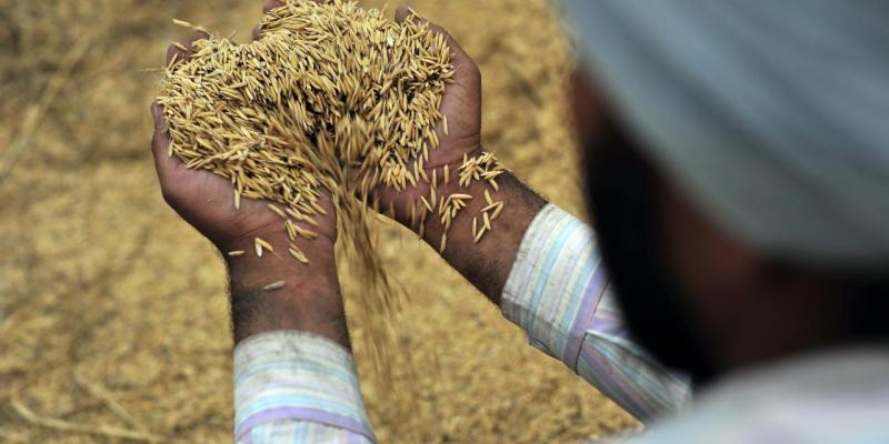 The Three Farm Bills The India Forum Ndtv.com provides latest news from india and around the world. the three farm bills the india forum