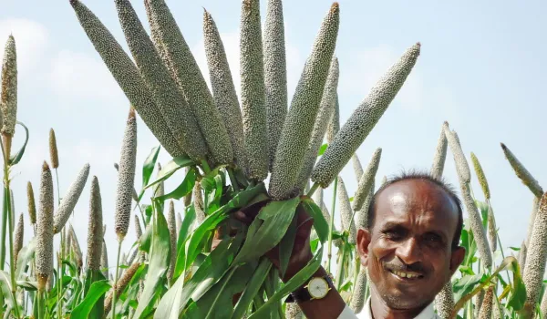 The Reincarnation of Millets: From Derided to Divine | The India Forum
