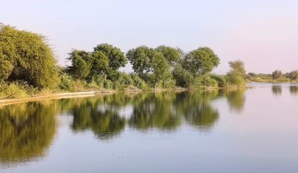 What Conservation Cannot See