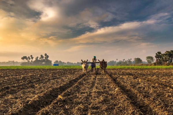 India’s Biggest Challenge: The Future of Farming