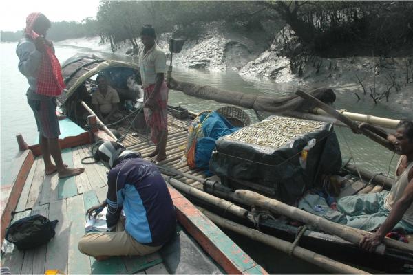 A ‘Licence’ to Kill in the Sundarbans